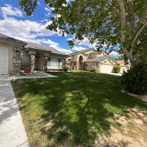 yard work by Sun valley lawn care reviewed on August 16, 2025