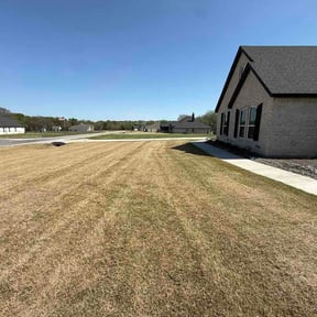 Bush Trimming by A Valentines Dream Contracting Services LLC reviewed on March 24, 2026