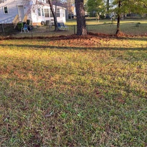 Leaf Removal by Family Lawn Care reviewed on September 30, 2025