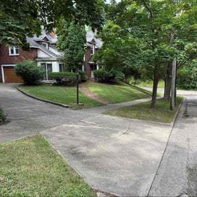 yard care by Morel Lawn & tree service reviewed on August 20, 2025