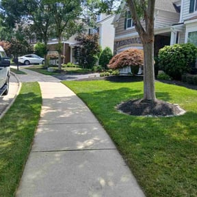 residential landscaping by TMD ELITE PROPERTY PRESERVATION LLC reviewed on August 20, 2025