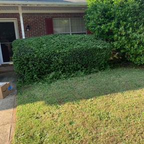 Bush Trimming by B&SS reviewed on August 20, 2025