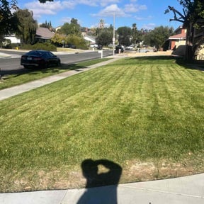 landscaping services by Landscaping Services reviewed on August 15, 2025