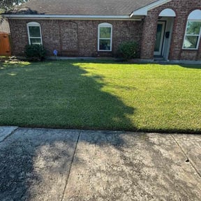 Bush Trimming by Cuts and Stuff reviewed on October 24, 2025