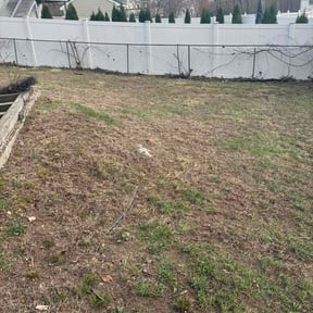Leaf Removal by Absolute Pressure &amp; Lawn Pros reviewed on March 29, 2026