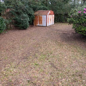 Leaf Removal by Jm landscape reviewed on September 19, 2025