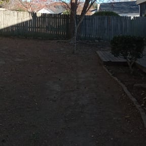 Leaf Removal by Team one lawn service reviewed on September 7, 2025