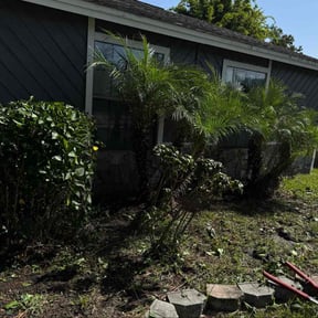 Bush Trimming by Landscape Plus reviewed on August 18, 2025