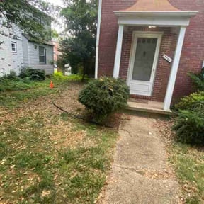 Bush Trimming by V.i..y Lawn care services reviewed on August 18, 2025