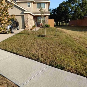 Flower Bed Weeding by All You Need  reviewed on November 29, 2025