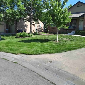 landscape maintenance by lawn services reviewed on December 3, 2025