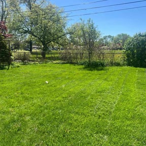 landscape maintenance by M&W Construction reviewed on August 16, 2025