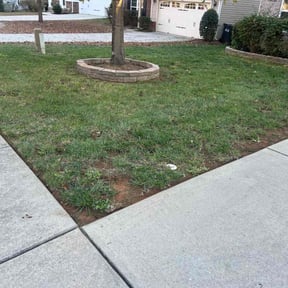 Leaf Removal by John Donaldson reviewed on September 12, 2025