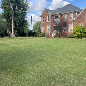 yard service by W&amp;p full property maintenance reviewed on July 13, 2022