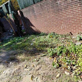 Bush Trimming by Mahoney‘s lawn care services reviewed on November 5, 2025