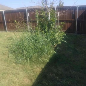 Flower Bed Weeding by Serenity Lawn Care and Property Maintenance reviewed on November 9, 2025