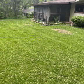 Leaf Removal by Tony’s Lawn Care reviewed on August 21, 2025