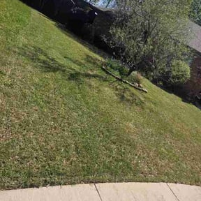 Leaf Removal by Bad Lil Vibes Clothing and More reviewed on April 2, 2026