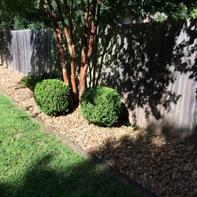 Bush Trimming by Legacy Lawn care reviewed on August 15, 2025