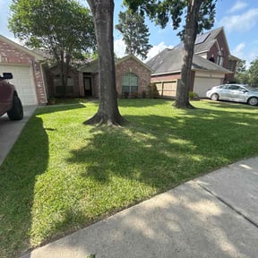 yard maintenance by Green landscaping reviewed on December 11, 2025