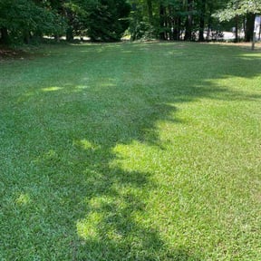 gardening service by Trevors Turf Care reviewed on August 18, 2025