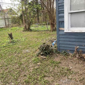 Bush Trimming by A&W Quality Lawn Care reviewed on August 19, 2025