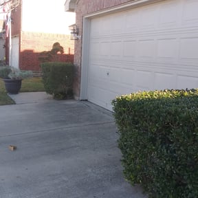 Bush Trimming by Top Notch Lawn Care& MAINTENCE reviewed on August 15, 2025