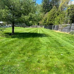 yard work by EMP Lawn Services, LLC reviewed on August 16, 2025