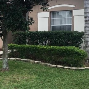 Bush Trimming by BD's Platinum Lawncare LLC reviewed on August 20, 2025