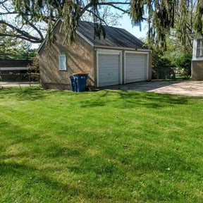 Leaf Removal by Maverick lawn service reviewed on September 24, 2025