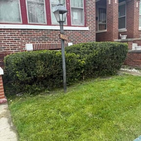 Bush Trimming by Fresh Cuts Lawn Professionals LLC reviewed on August 18, 2025
