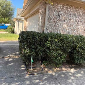 Bush Trimming by Mightyscapes LLC reviewed on March 19, 2026