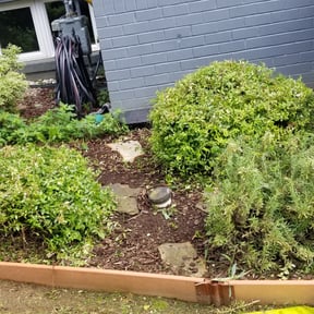 Bush Trimming by Harley stevenson reviewed on August 20, 2025