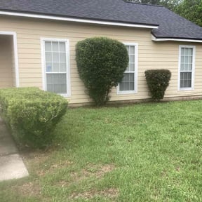 Bush Trimming by Clark Family Lawn Care Plus reviewed on August 17, 2025