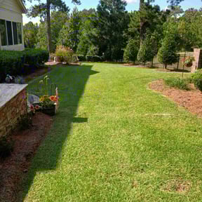 Other by City Boys Lawn and Care reviewed on September 8, 2025