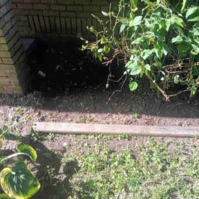 Flower Bed Weeding by Cliff Silwamba reviewed on July 27, 2026
