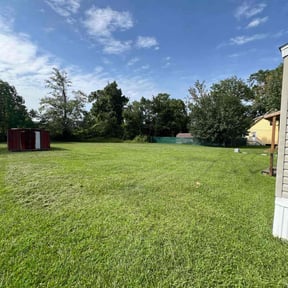 yard work by Lake Area Property Services reviewed on August 18, 2025