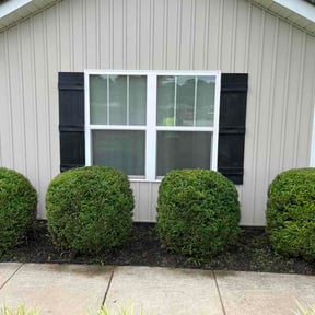 Bush Trimming by Lucash landscaping reviewed on September 3, 2026