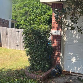 Bush Trimming by Acosta’s landscaping reviewed on August 20, 2025