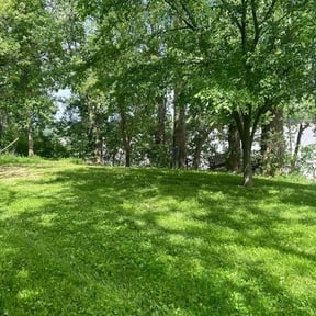 residential landscaping by Calvin's Lawn and Landscaping reviewed on August 18, 2025