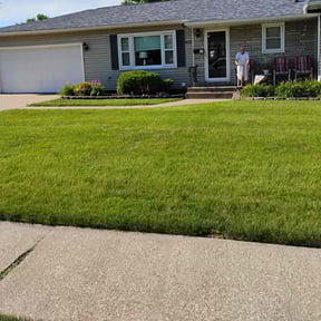 grass cutting by County Line Services reviewed on August 20, 2025