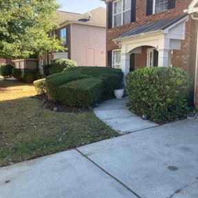 Bush Trimming by The garden friends reviewed on October 21, 2025