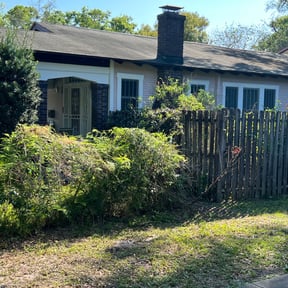 Bush Trimming by Clean green landscaping reviewed on August 15, 2025