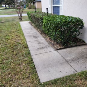 Bush Trimming by M+A Yard Services reviewed on August 21, 2025