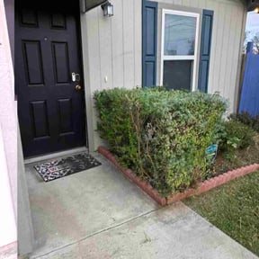 Bush Trimming by Tri-Cities Lawn Care LLC reviewed on July 17, 2020