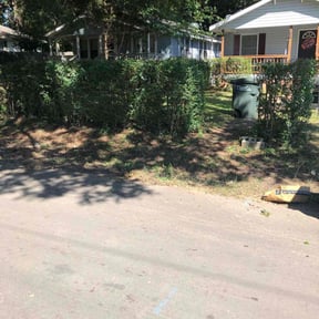 Bush Trimming by JG Lawn Care reviewed on August 21, 2025