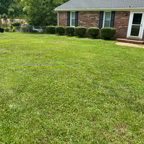 Bush Trimming by JP Landscape reviewed on August 15, 2025
