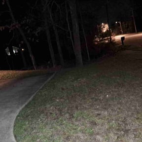 Leaf Removal by Green Gobbler Lawn care reviewed on September 15, 2025