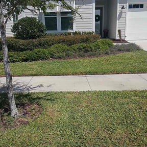 Bush Trimming by Howard Pro reviewed on April 15, 2026