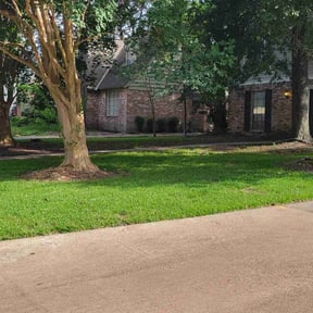 landscaping by We like grass reviewed on October 11, 2019